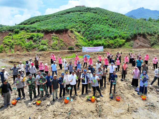 
					Pj Gubernur Bahtiar telah melakukan penanaman nanas di sejumlah daerah di Sulsel. Salah satunya di Kabupaten Wajo.