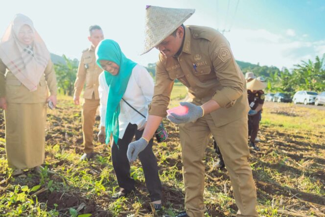 
					BANTAENG Siap Jadi Sentra Benih Modern, Bupati Uji Nurdin Tanam Jagung Unggul “Jago Unhas”