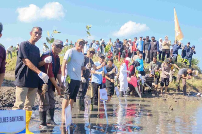 
					Hijaukan Pesisir, Bupati Bantaeng dan KKN Unhas Tanam 5.000 Mangrove di Bombong