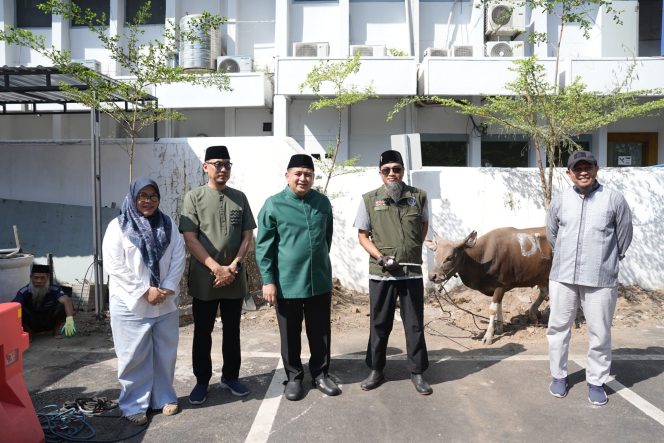 
					9 Sapi Kurban Disembelih di Balai Kota, Pemkot Makassar Salurkan Daging untuk Warga dan Petugas